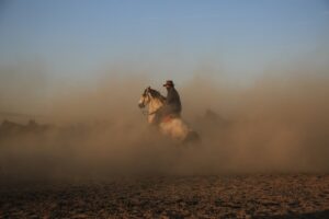 Arabian Horse Lifespan – Unveiling the Secrets Behind